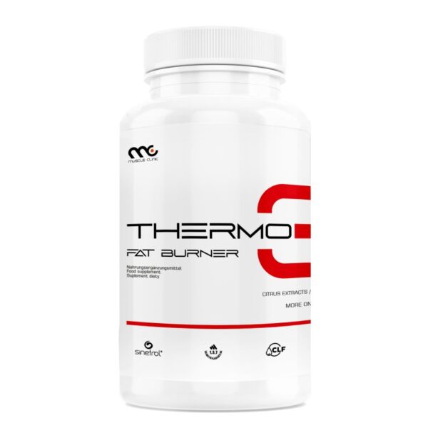thermo3